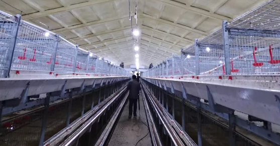 養(yǎng)鴨場(chǎng)老板：熱泵供暖溫度高，費(fèi)用比燒煤還??！